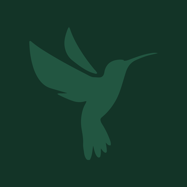 An illustration of a large Splor hummingbird