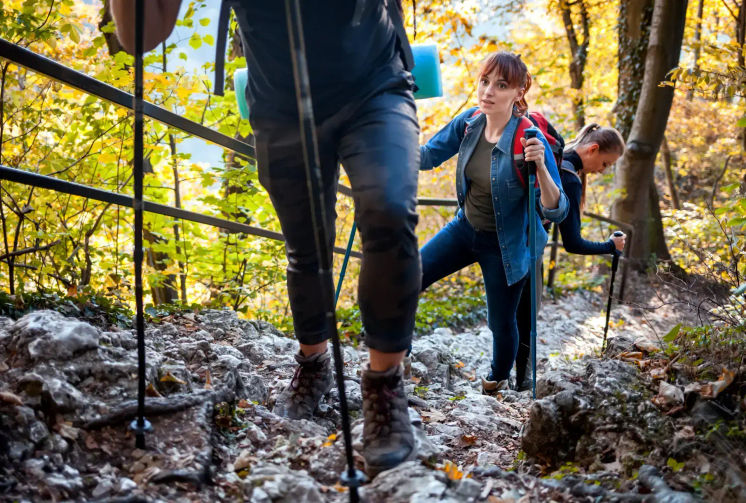 A hiking club ascending a steep and rocky passage in the forest